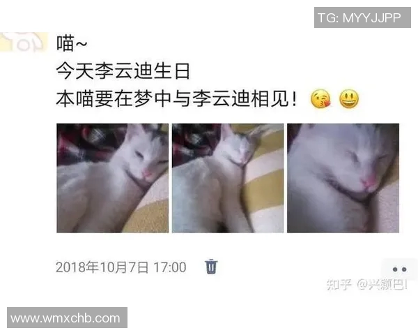 足球明星塌方事件背后的真相与影响分析揭秘