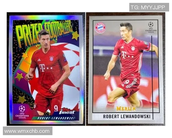 足球明星卡片编号查询指南助你轻松找到心仪球星信息与收藏价值