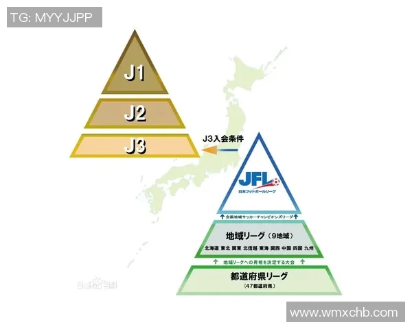 武汉足球队比赛经验深度解析与未来发展展望