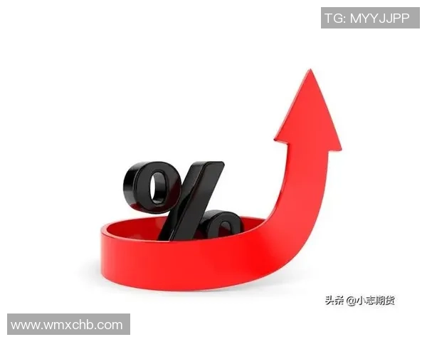 武汉篮球队在钻石联赛中的比赛经验与表现分析 武汉篮球队在钻石联赛中的比赛经验与表现分析