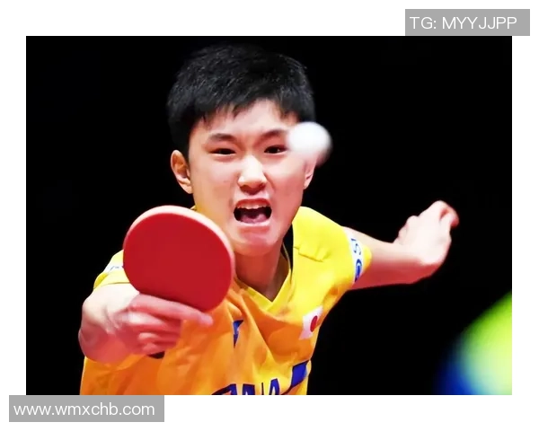 武汉乒乓球队的力量变革引发热议展现新风貌与未来潜力