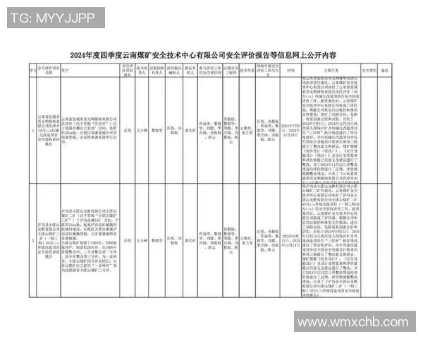 杭州羽毛球队在杯赛中的技术表现分析与点评