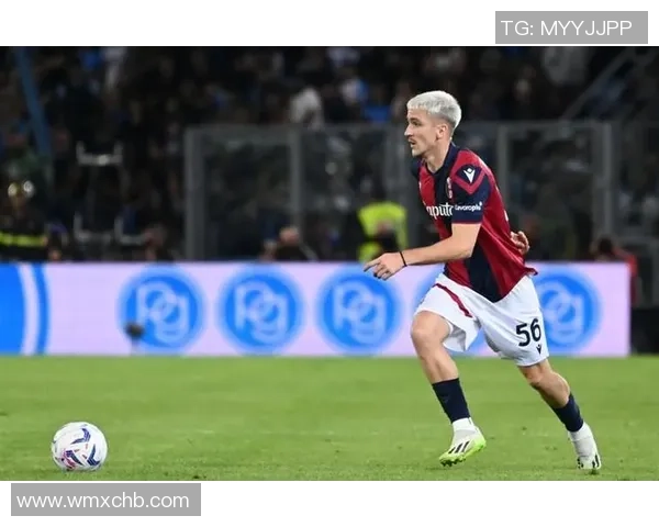 狗界的足球明星如何用灵活身姿征服赛场与观众的心灵